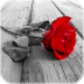 Photo Art - Color Effects 1.8.6