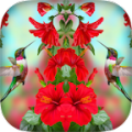 Photo Mirrors icon