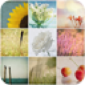 Photos Wallpapers Collection icon