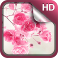 Pink Flowers Live Wallpaper icon