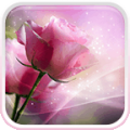 Pink Roses Live Wallpaper 5.0