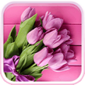 Pink Tulips Live Wallpaper icon
