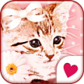 Pinky cat[Homee ThemePack] icon