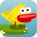 Piou Piou icon
