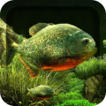 Piranhal 3D 1.6.3