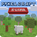 PixelCraft icon