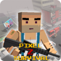 PixelZS 2.0