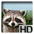Planet Animal icon