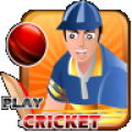 Play Cricket icon