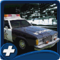 PoliceChase icon