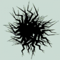 PolyFauna icon