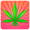 Pot Profit icon