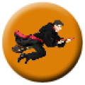 Potter Quidditch icon