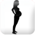 Pregnancy watcher widget 2.1.2.3