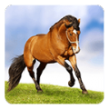 Horses Live Wallpaper icon