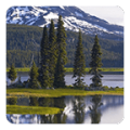 Nature Live Wallpaper icon