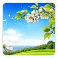 Spring Live Wallpaper icon