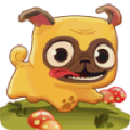 Pug Run icon