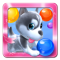 Puppy Bubble icon