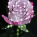 Purple Rose Sparkle Live Wallpaper icon