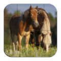 Puzzle - Beautiful horses 1.23