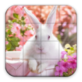 Puzzle - Bunnies 1.26