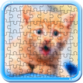 Puzzle Cats and Kitty icon