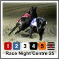 Race Night Centre - Demo icon