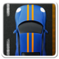 Race Speed icon