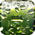 Rain Drops Live Wallpaper icon