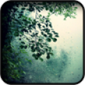 Rain Wallpapers icon