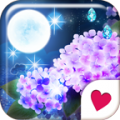 Rainy Moon[Homee ThemePack] icon
