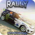 RALLY GYMKHANA icon