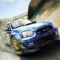 RallyRacing Jigsaw icon