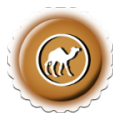 Rangilo Rajasthan theme icon
