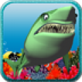 Rapid Shark icon