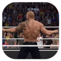 Real Action for WWE Pro icon