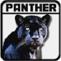 Real Black Panther Simulator icon