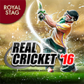 Real Cricket 17 icon