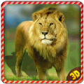 Real Lion Revenge Simulator 1.5