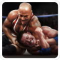 Real Wrestling 3D 1.8