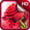 Red Roses Live Wallpaper HD 4.2