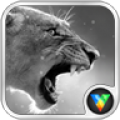 Roar Locker Wallpaper-VLife icon