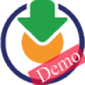 RomDownloaderDemo icon