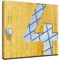 Room Escape icon