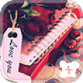 Rosy Roses icon