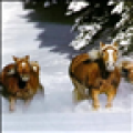 Running Horse LWP icon