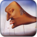 Salvador Dali wallpaper icon