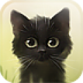 Savage Kitten Lite 1.3.3