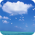 Sea icon